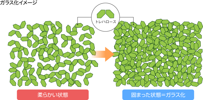 水中の糖分子